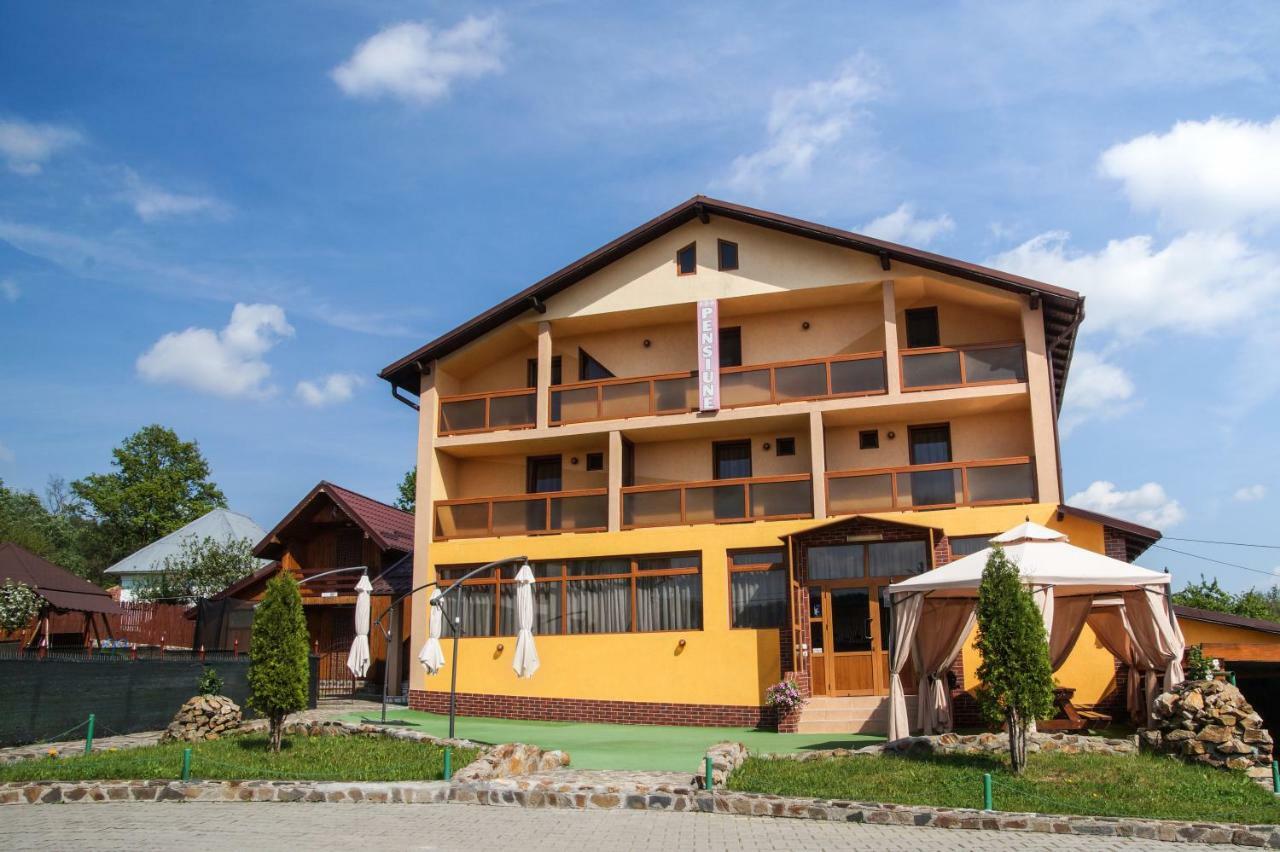 Pensiunea Nicol Hotel Valea Iasului ภายนอก รูปภาพ