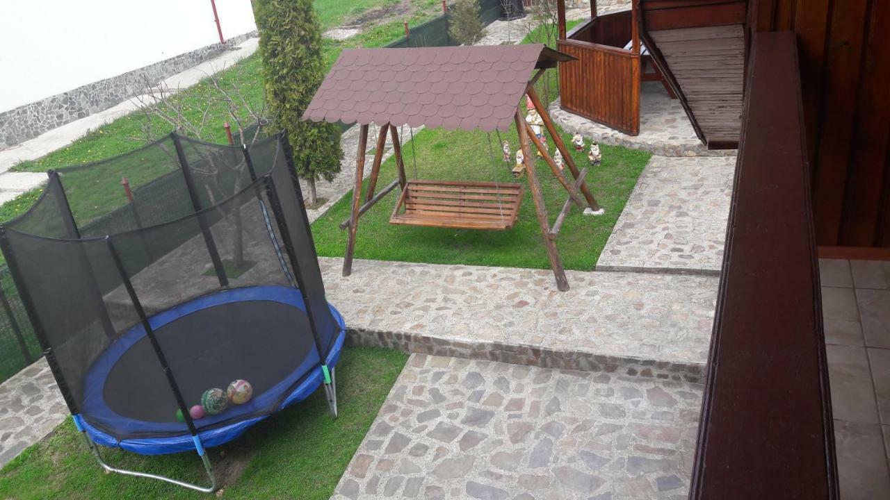 Pensiunea Nicol Hotel Valea Iasului ภายนอก รูปภาพ