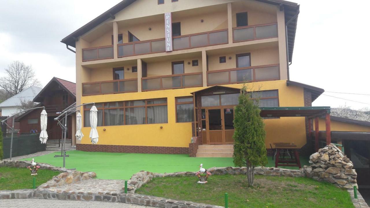 Pensiunea Nicol Hotel Valea Iasului ภายนอก รูปภาพ